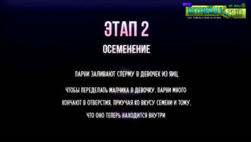 VIP-лот 006 / 5 Stages of Making a Sissy (5 Этапов Создания Девочки) — изображение 2