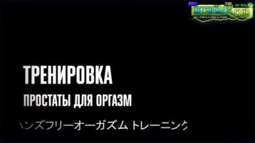 [Товар] VIP-лот Z-021 / Японская Традиция Дансёку (Превращать в Сисси-Девочку) — изображение 3